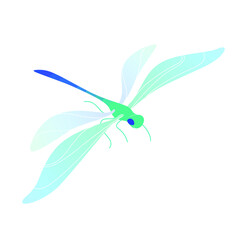 Vector colorful illustration of Dragonfly.
