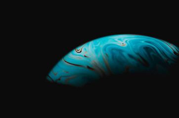 jellyfish in aquarium