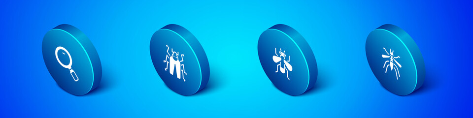 Fototapeta premium Set Isometric Magnifying glass, Insect fly, Mosquito and Beetle bug icon. Vector