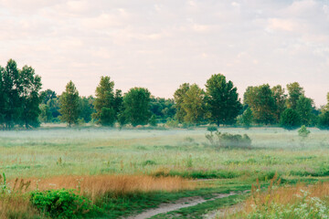 Obraz premium Sunrise in the morning forest overlooking nature. Morning fog spreads over the ground. Rural landscape. Meadow and forest.