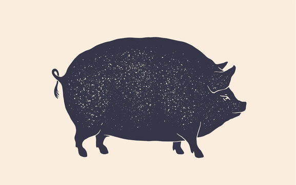 recommend clip art: Pork, pig. Vintage retro print, silhouette pig