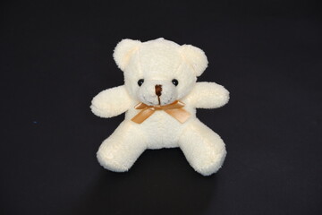 White teddy bear on black background.