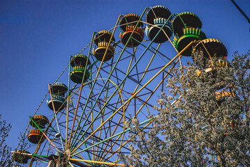 ferris wheel in the park