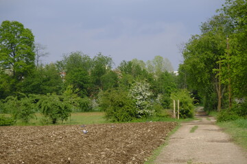 Sky with clouds after a thunderstorm