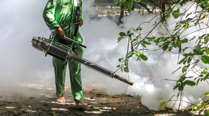 worker treats trees from insects,worker with a smoke machine