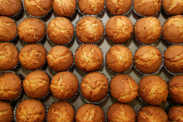 Rows of cupcake or muffin for breakfast, top view. Traditional Easter pastries