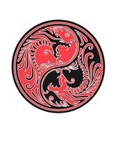 viking shield with two dragons