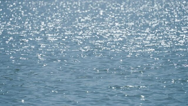 キラキラと光が煌めく水面　4K　スローモーション