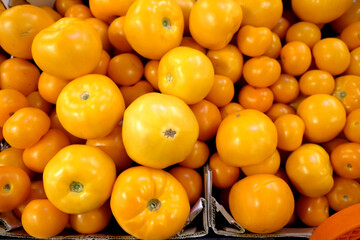 Still life with crop of many ripe yellow tomatoes inside cardon boxes in the vegetable department store shop top view close-up