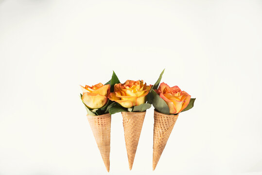 Three yellow and orange roses in ice cream wafer cones on white background. Concept image with copy space. 