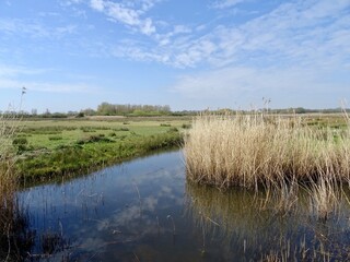 Lanscape with cloud  reflections in river