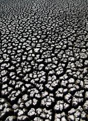 Naklejka premium Dry Earth Soil Ground Grunge Texture. Close up of crack soil Top View.
