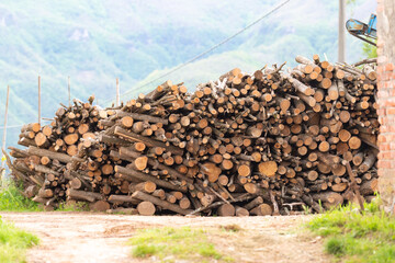 The logs are stacked. Prepared remains of trees for cutting into firewood.