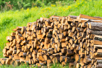Firewood from juicy logs. A lot of firewood lies in piles on the fresh grass. Focus on nearby firewood