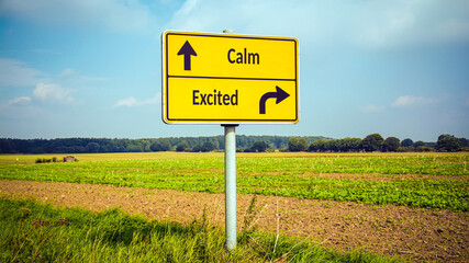 Fototapeta premium Street Sign Calm versus Excited