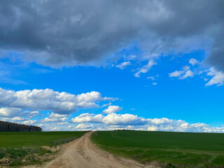 Clouds on a sunny day on the background of the forest