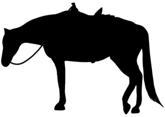 Obraz premium Western ranch horse relaxing silhouette in black on white background 
