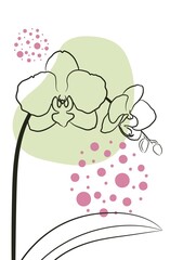 Vector orchid. Illustration for prints, covers, posters, backgrounds.
