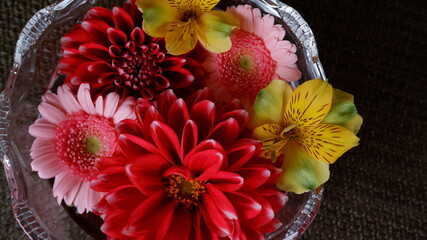 商用で使える花たちの写真