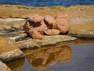 Reflection of abandoned toy in rocks