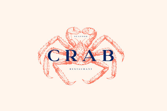 Logo template with an image of a red king crab drawn by graphic lines on a light background. Retro emblem for the menu of fish restaurants, markets and shops. Vector vintage engraving illustration.