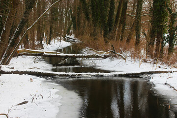 Winter Bach zugefroren