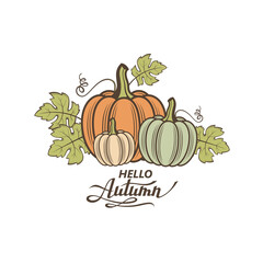 illustration of vegetable pumpkins with green leaves isolated on white background