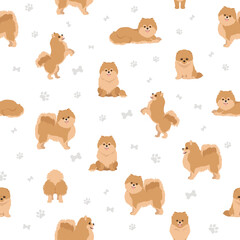 Pomeranian German spitz seamless pattern. Different poses, coat colors set.