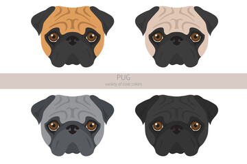 Pug clipart. Different poses, coat colors set