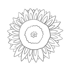 Sunflower is a sunny flower. Line style. Isolated on a white background. Vector illustration