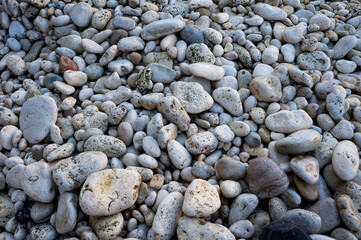 background with dry round reeble stones