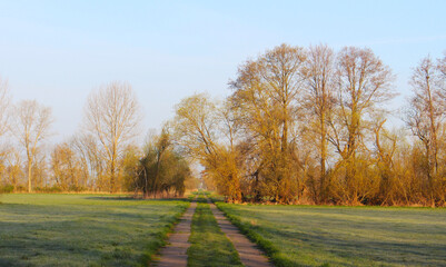 Landschaft Frühling