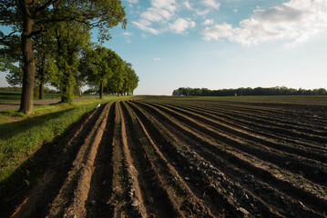 A farmland in the Polish countryside - obrazy, fototapety, plakaty