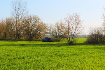 Landschaft Fr&uuml;hling
