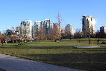 People are resting in the city park. Vancouver. Canada.