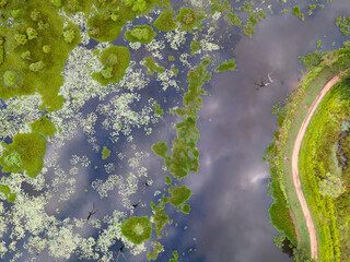 Arial view of a lake with trees grown inside and a road going along in Sri Lanka 