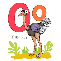 Vector illustration. Alphabet with animals. Large capital letter O with a picture of a bright cute ostrich.