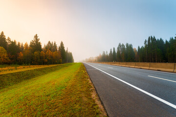 Suburban autumn highway. Coniferous forest in the fog. Sunrise. Autumn morning. View from the side...
