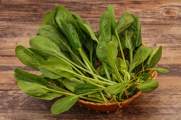Fresh green Spinach leaves heap