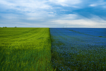 Blé & Lin
flax fields