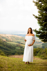 Fototapeta na wymiar Young pregnant woman at the forest