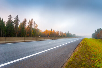 Suburban autumn highway. Coniferous forest in the fog. Empty road. Autumn morning. View from the...