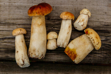 Freshly picked porcini mushrooms on rustic wooden table. Top view
