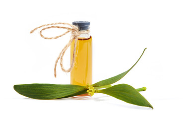 A bottle of herbal tincture with fresh mistletoe twigs isolated on a white background