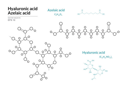 Azelaic and Hyaluronic acid. HA Hyaluronan. Structural Chemical Formula and Line Model of Molecule. Vector Illustration