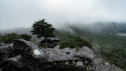 misty morning in the mountains