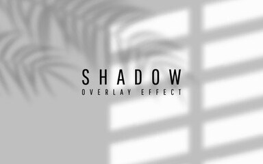 Shadow overlay effect. Transparent shadow of window. Vector illustration
