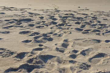 Sandy background with footprints on the sand