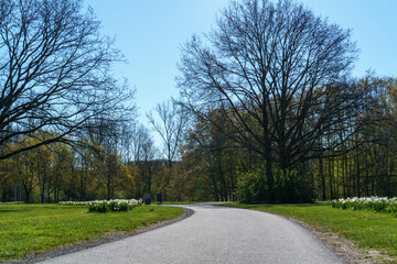 Fototapeta na wymiar Schön angelegter breiter Parkweg am Schwanenteich