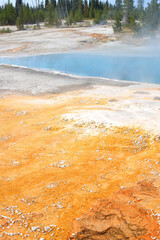 Yellowstone National Park in Wyoming, USA